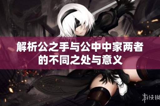 解析公之手与公中中家两者的不同之处与意义