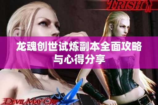 龙魂创世试炼副本全面攻略与心得分享
