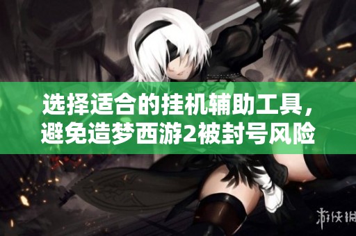 选择适合的挂机辅助工具，避免造梦西游2被封号风险分析