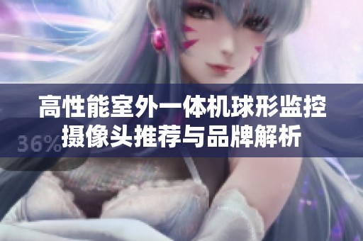 高性能室外一体机球形监控摄像头推荐与品牌解析