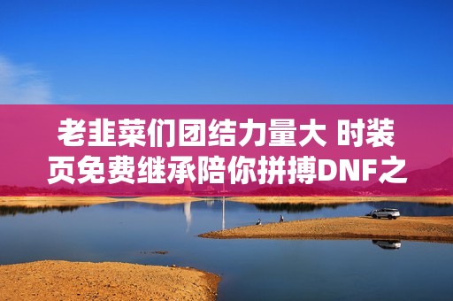 老韭菜们团结力量大 时装页免费继承陪你拼搏DNF之路