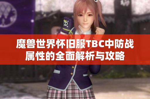 魔兽世界怀旧服TBC中防战属性的全面解析与攻略