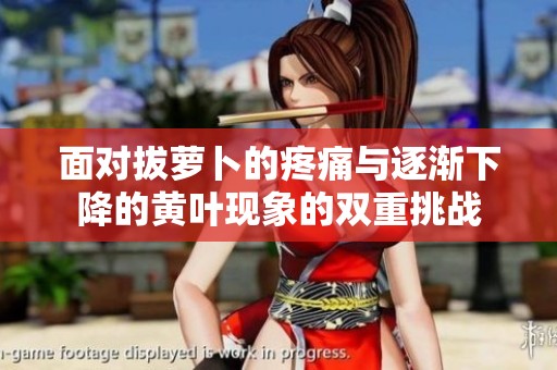 面对拔萝卜的疼痛与逐渐下降的黄叶现象的双重挑战
