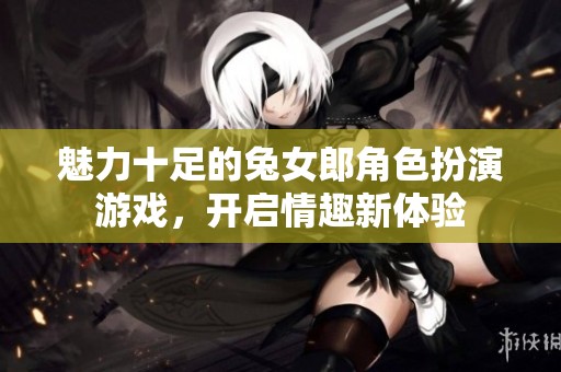 魅力十足的兔女郎角色扮演游戏，开启情趣新体验