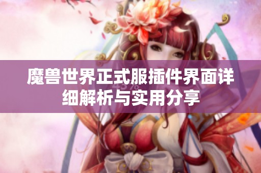 魔兽世界正式服插件界面详细解析与实用分享