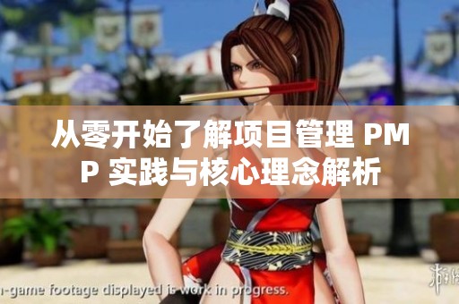 从零开始了解项目管理 PMP 实践与核心理念解析