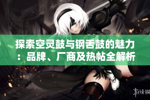 探索空灵鼓与钢舌鼓的魅力：品牌、厂商及热帖全解析