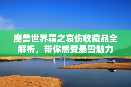 魔兽世界霜之哀伤收藏品全解析，带你感受暴雪魅力