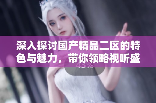 深入探讨国产精品二区的特色与魅力，带你领略视听盛宴