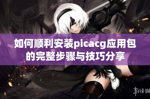 如何顺利安装picacg应用包的完整步骤与技巧分享