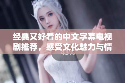 经典又好看的中文字幕电视剧推荐，感受文化魅力与情感共鸣