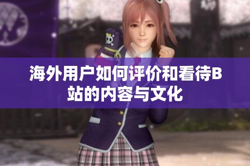 海外用户如何评价和看待B站的内容与文化
