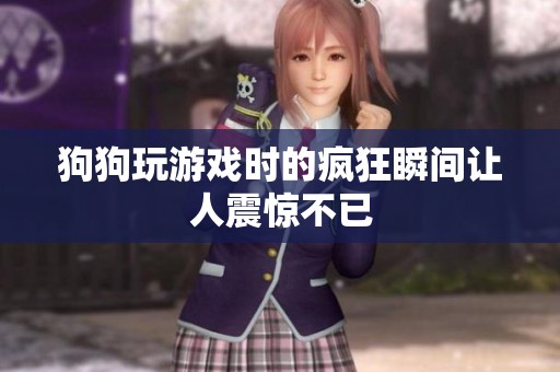 狗狗玩游戏时的疯狂瞬间让人震惊不已