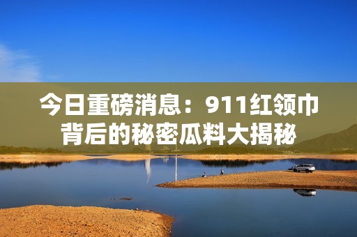 今日重磅消息：911红领巾背后的秘密瓜料大揭秘