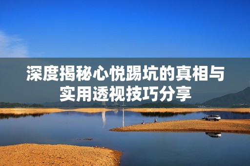深度揭秘心悦踢坑的真相与实用透视技巧分享