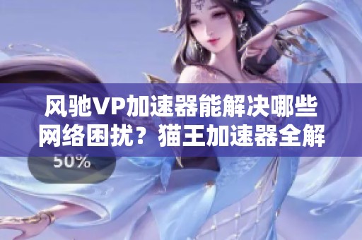 风驰VP加速器能解决哪些网络困扰？猫王加速器全解读