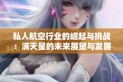 私人航空行业的崛起与挑战：满天星的未来展望与发展趋势