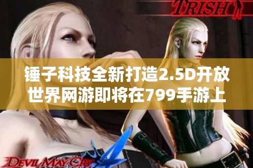 锤子科技全新打造2.5D开放世界网游即将在799手游上线
