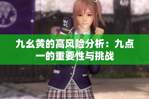 九幺黄的高风险分析：九点一的重要性与挑战