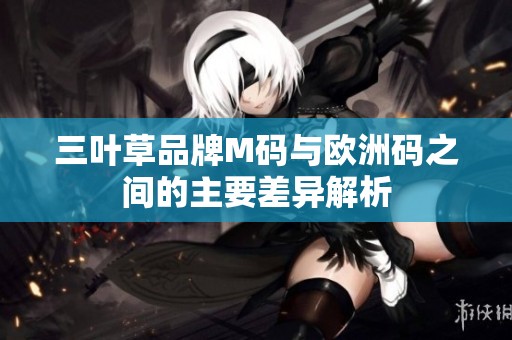 三叶草品牌M码与欧洲码之间的主要差异解析