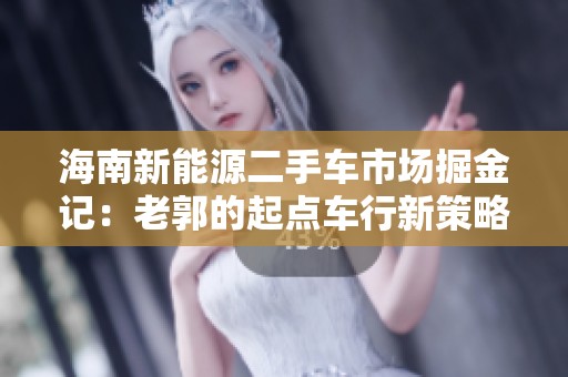 海南新能源二手车市场掘金记：老郭的起点车行新策略解析