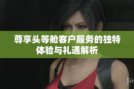 尊享头等舱客户服务的独特体验与礼遇解析