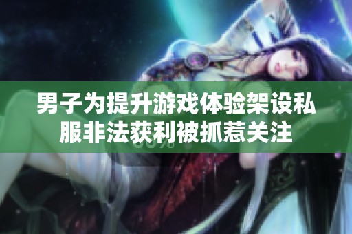 男子为提升游戏体验架设私服非法获利被抓惹关注