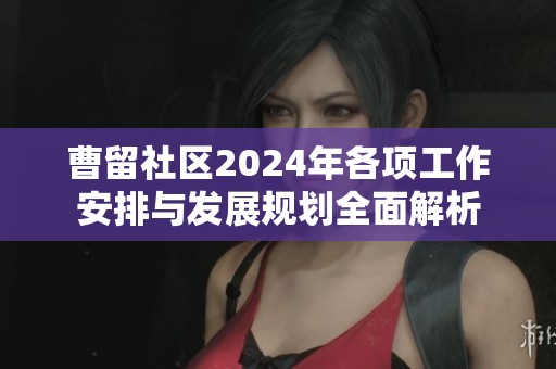 曹留社区2024年各项工作安排与发展规划全面解析
