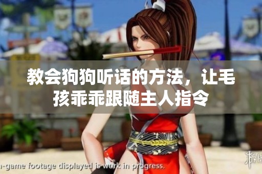 教会狗狗听话的方法，让毛孩乖乖跟随主人指令