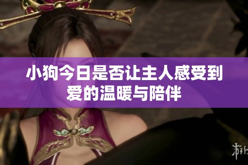 小狗今日是否让主人感受到爱的温暖与陪伴