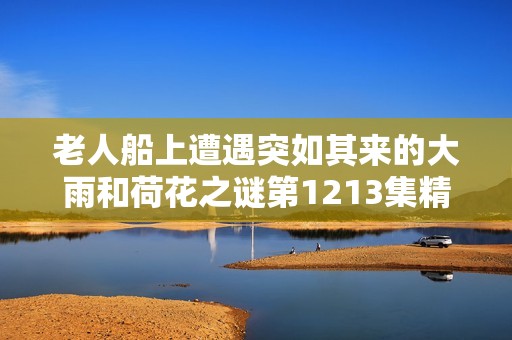 老人船上遭遇突如其来的大雨和荷花之谜第1213集精彩回顾