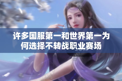 许多国服第一和世界第一为何选择不转战职业赛场