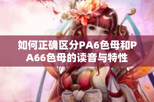 如何正确区分PA6色母和PA66色母的读音与特性