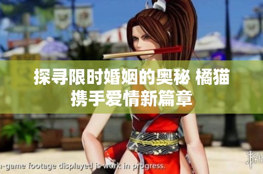 探寻限时婚姻的奥秘 橘猫携手爱情新篇章