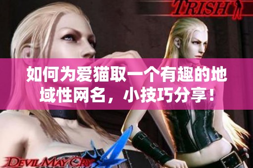 如何为爱猫取一个有趣的地域性网名，小技巧分享！