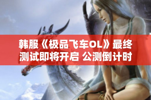 韩服《极品飞车OL》最终测试即将开启 公测倒计时已启动