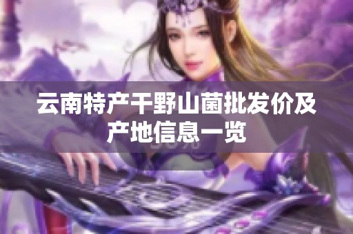 云南特产干野山菌批发价及产地信息一览