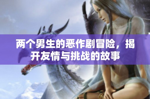两个男生的恶作剧冒险，揭开友情与挑战的故事