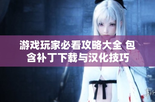 游戏玩家必看攻略大全 包含补丁下载与汉化技巧