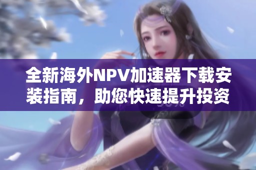 全新海外NPV加速器下载安装指南，助您快速提升投资价值