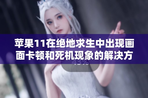 苹果11在绝地求生中出现画面卡顿和死机现象的解决方法