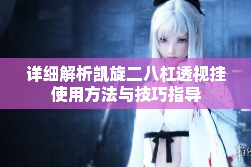 详细解析凯旋二八杠透视挂使用方法与技巧指导