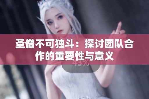 圣僧不可独斗：探讨团队合作的重要性与意义