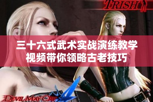 三十六式武术实战演练教学视频带你领略古老技巧