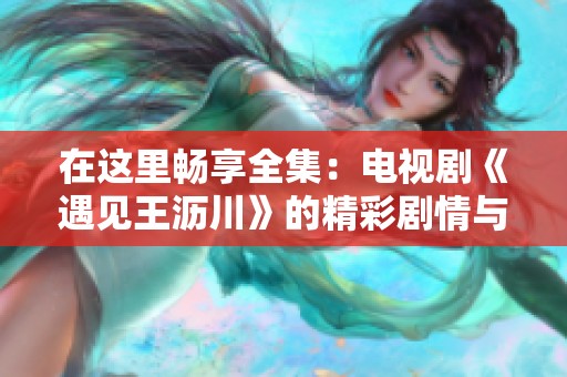 在这里畅享全集：电视剧《遇见王沥川》的精彩剧情与感人故事