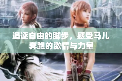 追逐自由的脚步，感受马儿奔跑的激情与力量