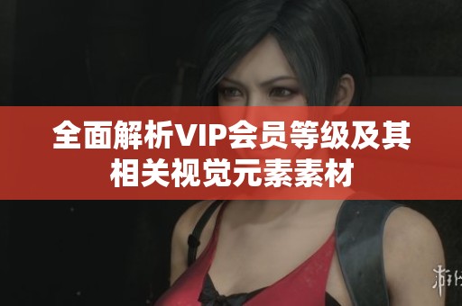 全面解析VIP会员等级及其相关视觉元素素材