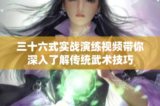 三十六式实战演练视频带你深入了解传统武术技巧