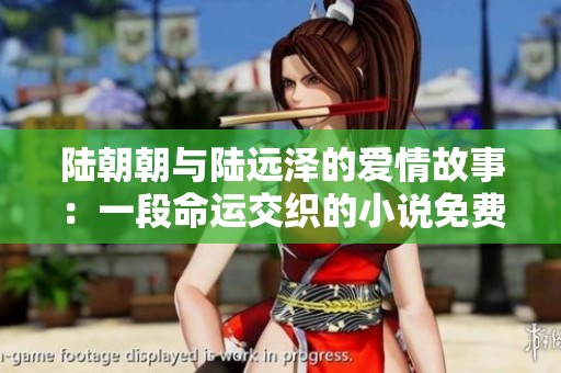 陆朝朝与陆远泽的爱情故事：一段命运交织的小说免费阅读