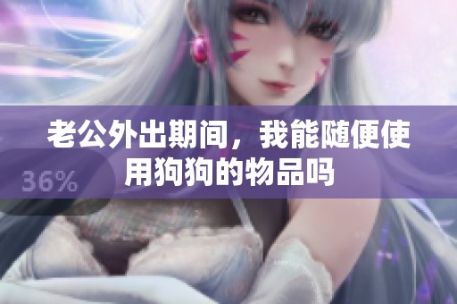 老公外出期间，我能随便使用狗狗的物品吗